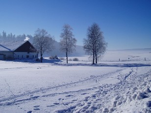 Le lac des Taillres en hiver