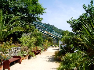 Jardin botanique au mois d'aot  Neuchtel