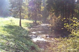 La Fort l'automne