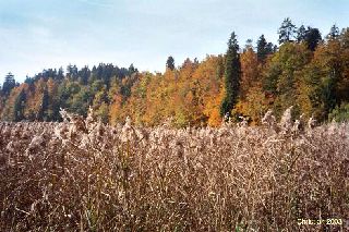 Le Lac Saint-Point